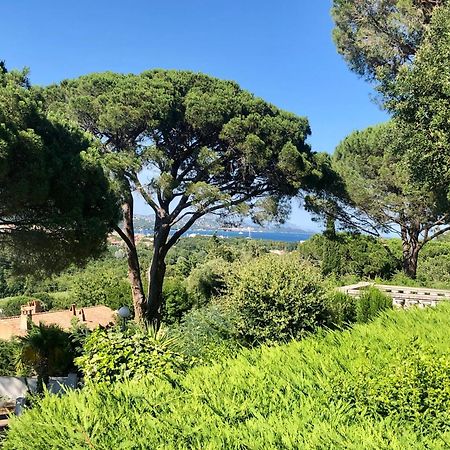 Villa Domaine Font Mourier 孔格林 外观 照片