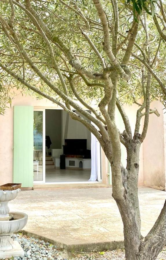 Villa Domaine Font Mourier 孔格林 外观 照片